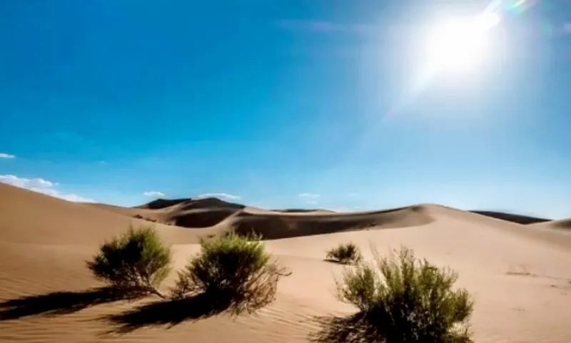 08395761253024 08395761253024